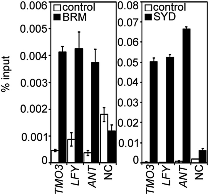 Figure 2—figure supplement 3.