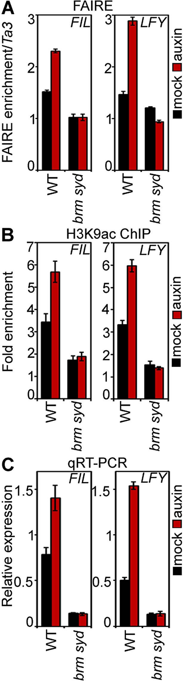 Figure 5.