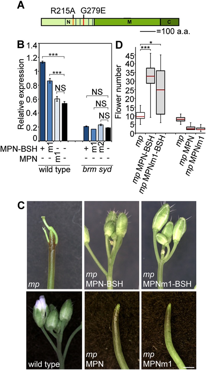 Figure 6—figure supplement 2.