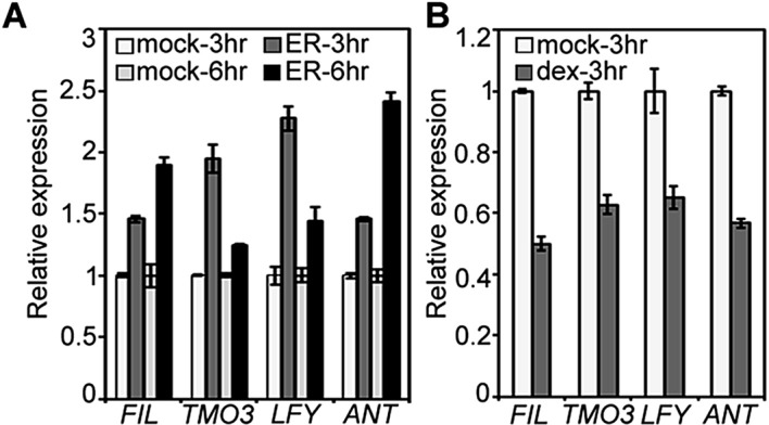 Figure 2—figure supplement 2.