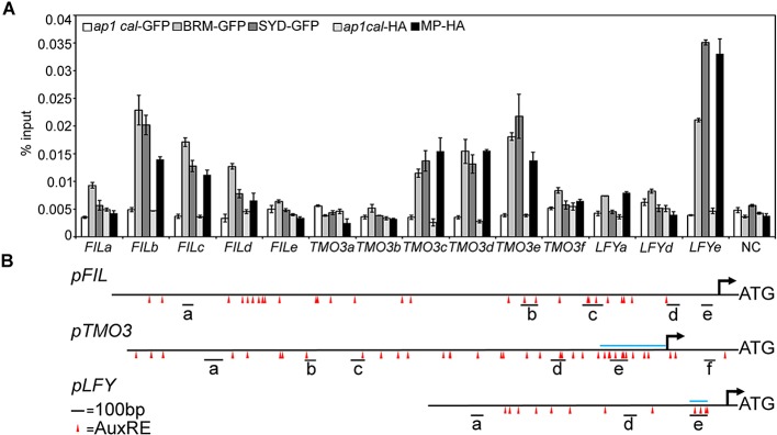 Figure 2—figure supplement 4.