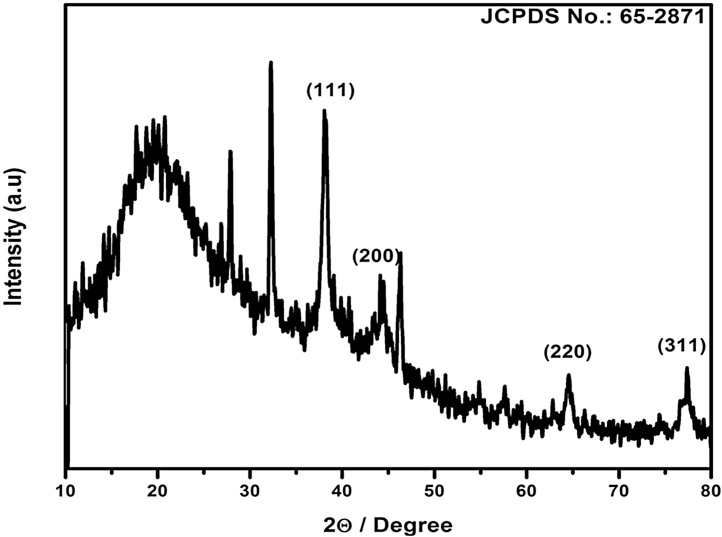 Fig. 2