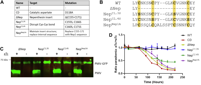 Figure 3