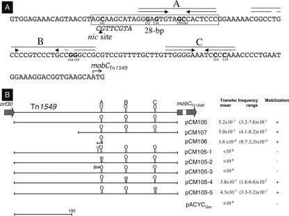 FIG. 2.