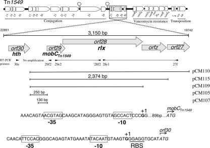 FIG. 1.