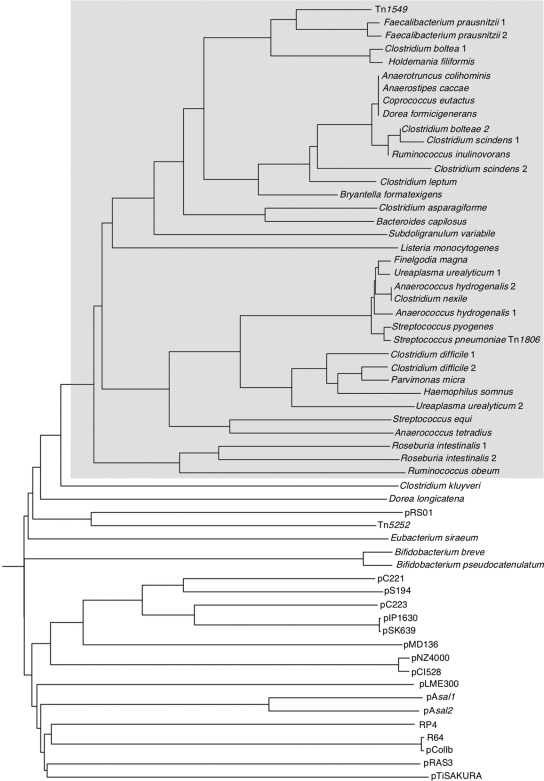 FIG. 6.