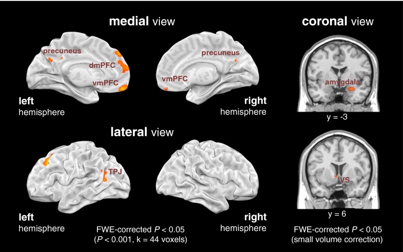 Fig. S1.