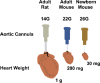 Image, graphical abstract