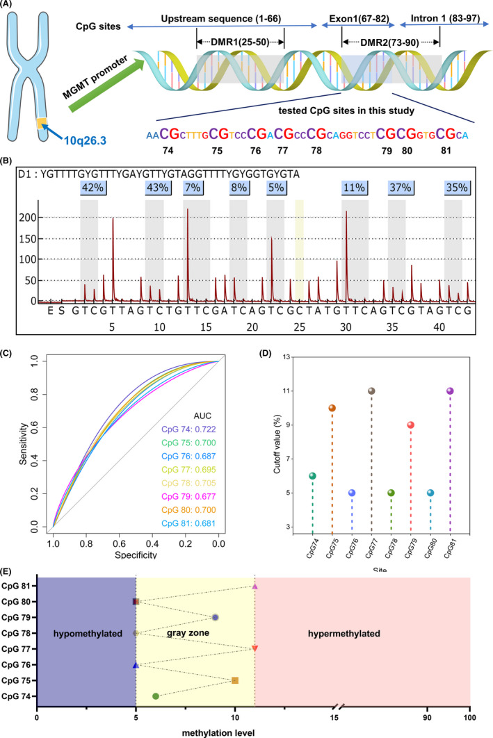 FIGURE 1