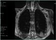 Figure 1.