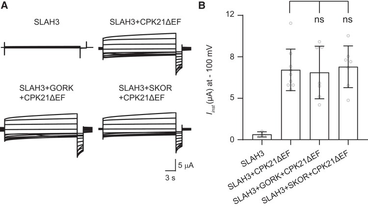 Figure 11