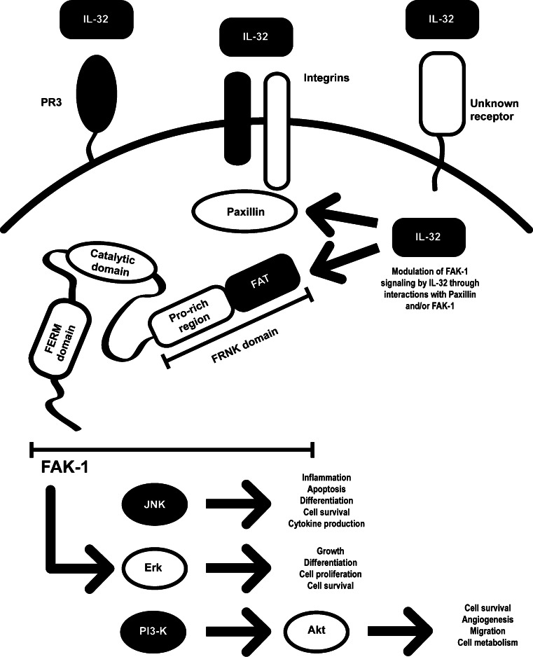 Fig. 4