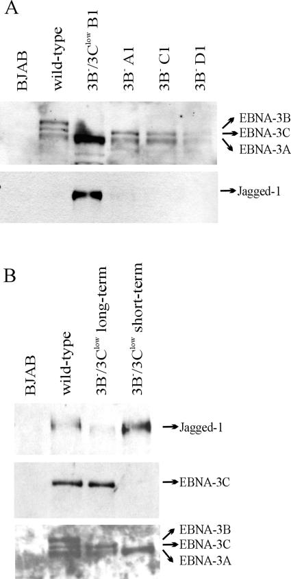 FIG. 6.