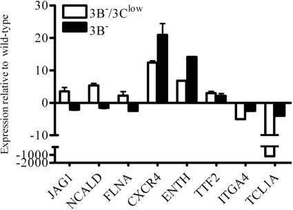 FIG. 5.