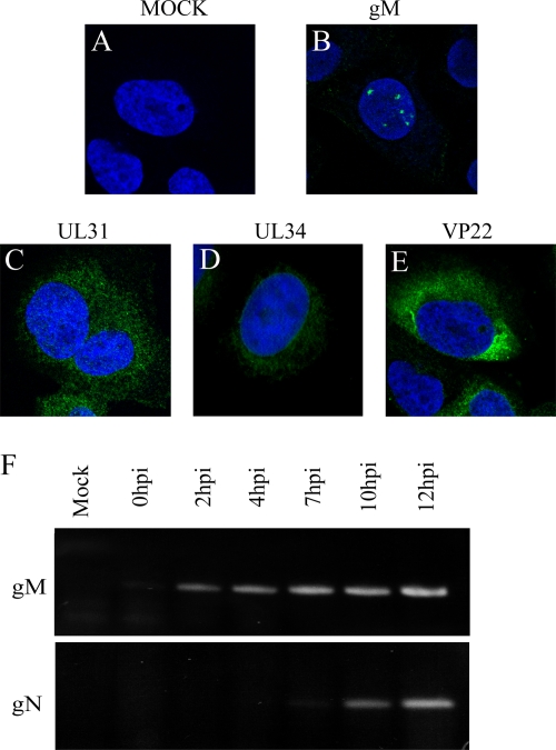 FIG. 9.