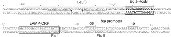 FIG. 5.