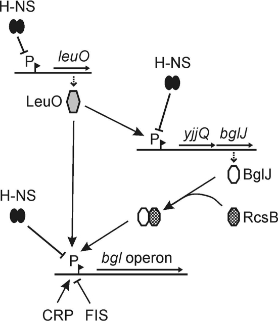 FIG. 6.