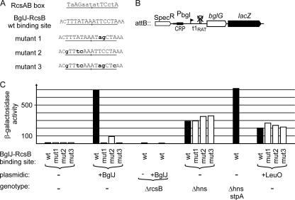 FIG. 4.