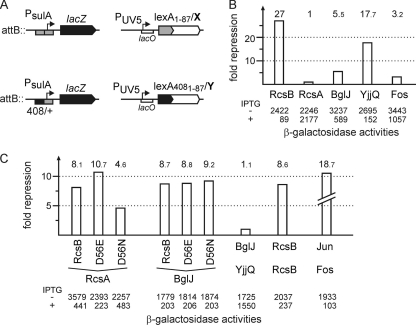 FIG. 2.