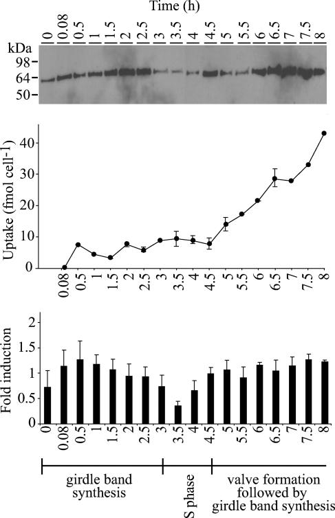 FIG. 3.