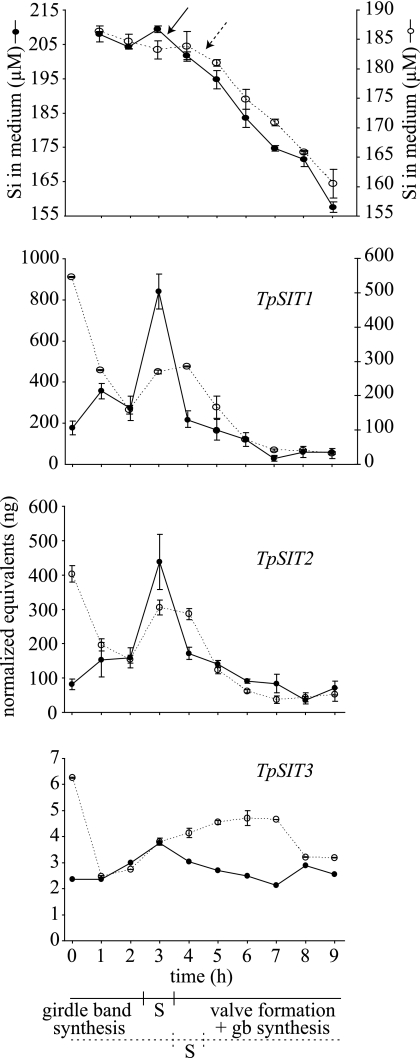 FIG. 4.