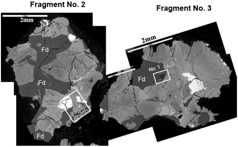 Fig. 1.