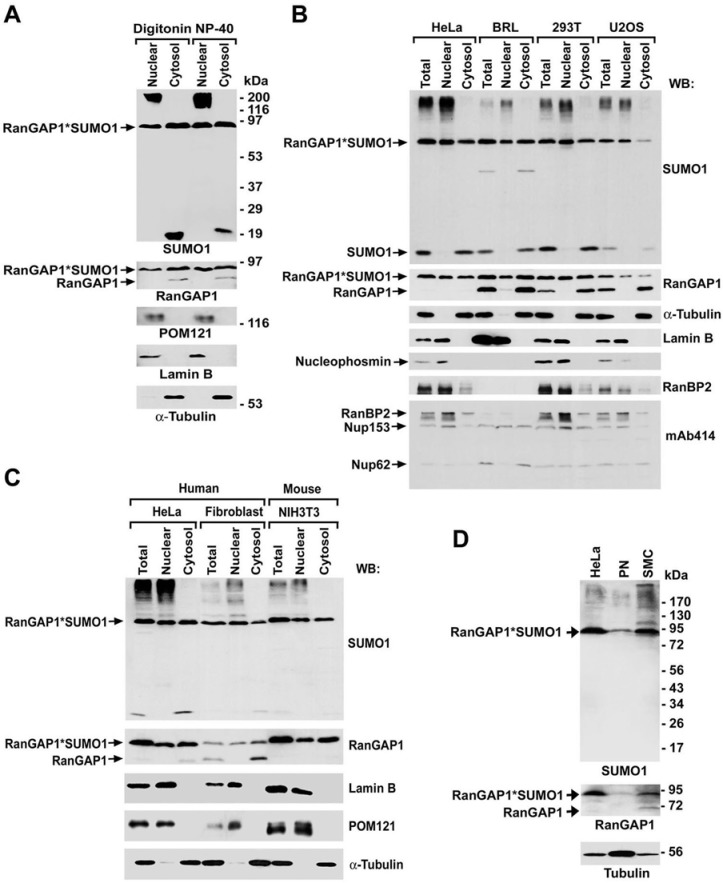 Fig 5