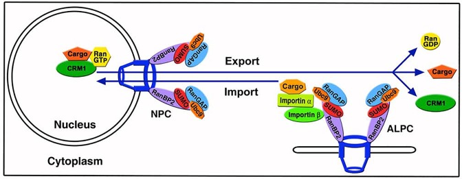 Fig 11