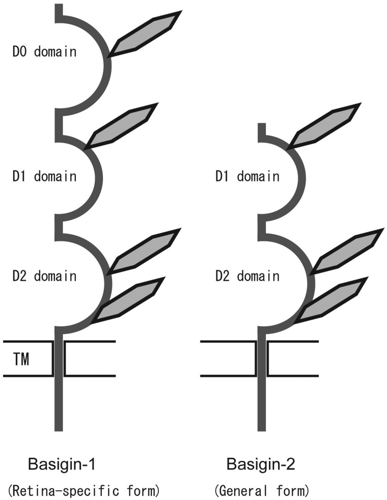 Fig. 2