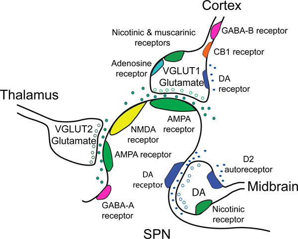 Figure 2.