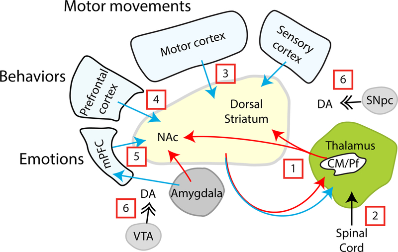 Figure 7.