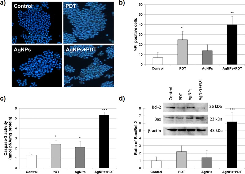 Fig 6