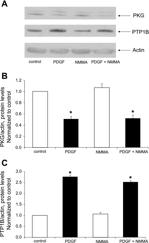 Fig. 8.