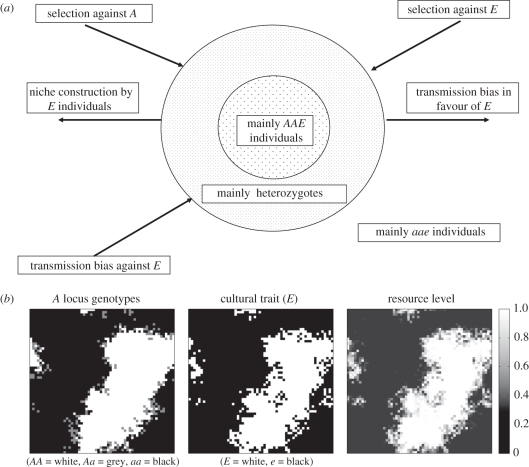 Figure 1.