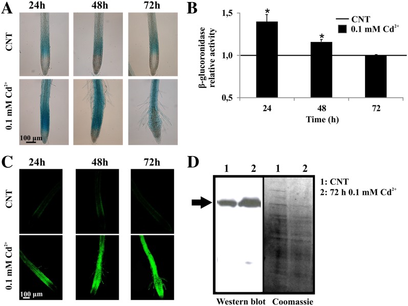 Figure 3.