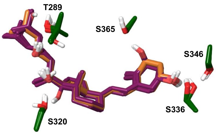 Figure 9