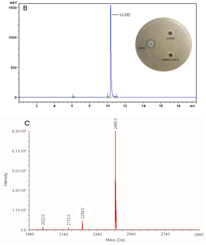 Figure 5