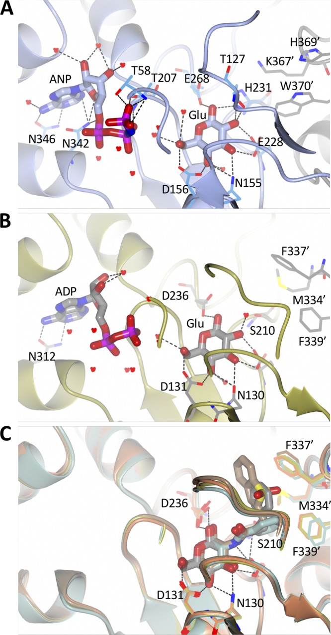 FIG 5