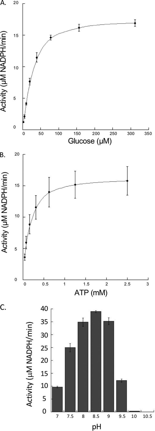 FIG 2