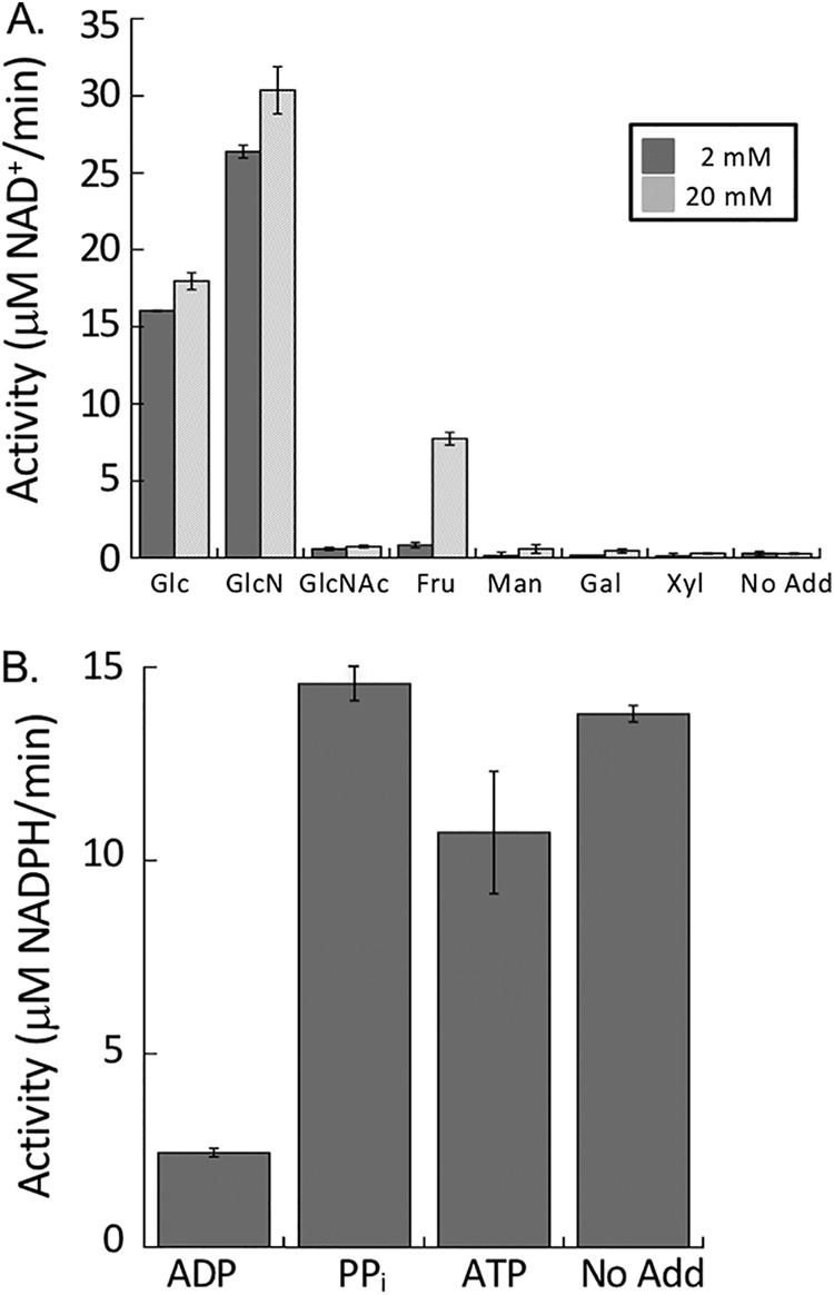 FIG 3