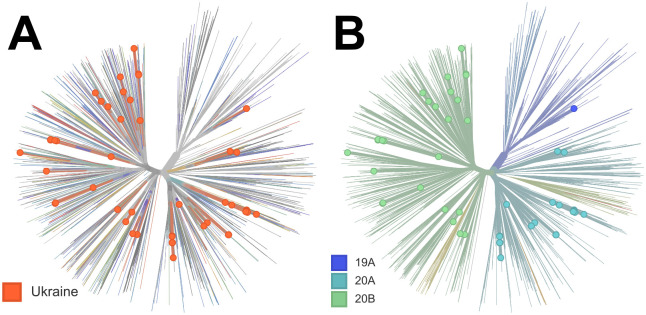 Figure 2: