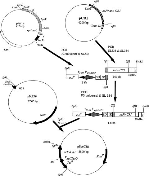 FIG. 1.