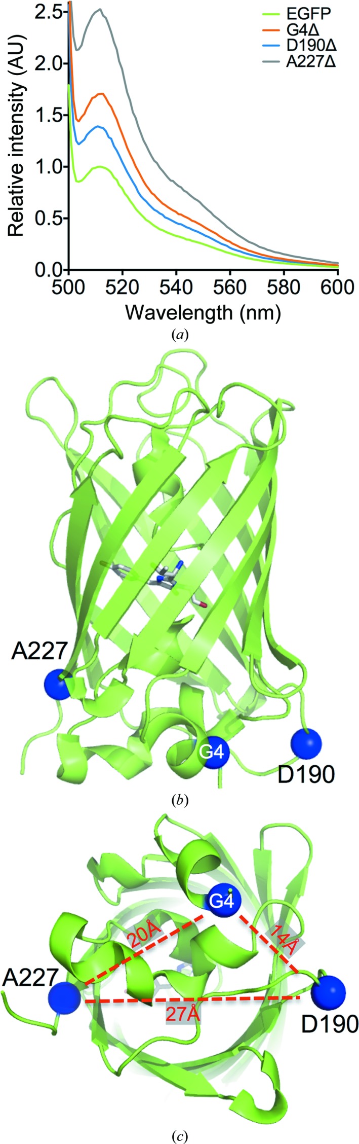 Figure 2