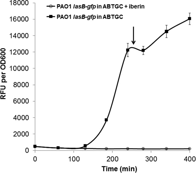 FIG 2