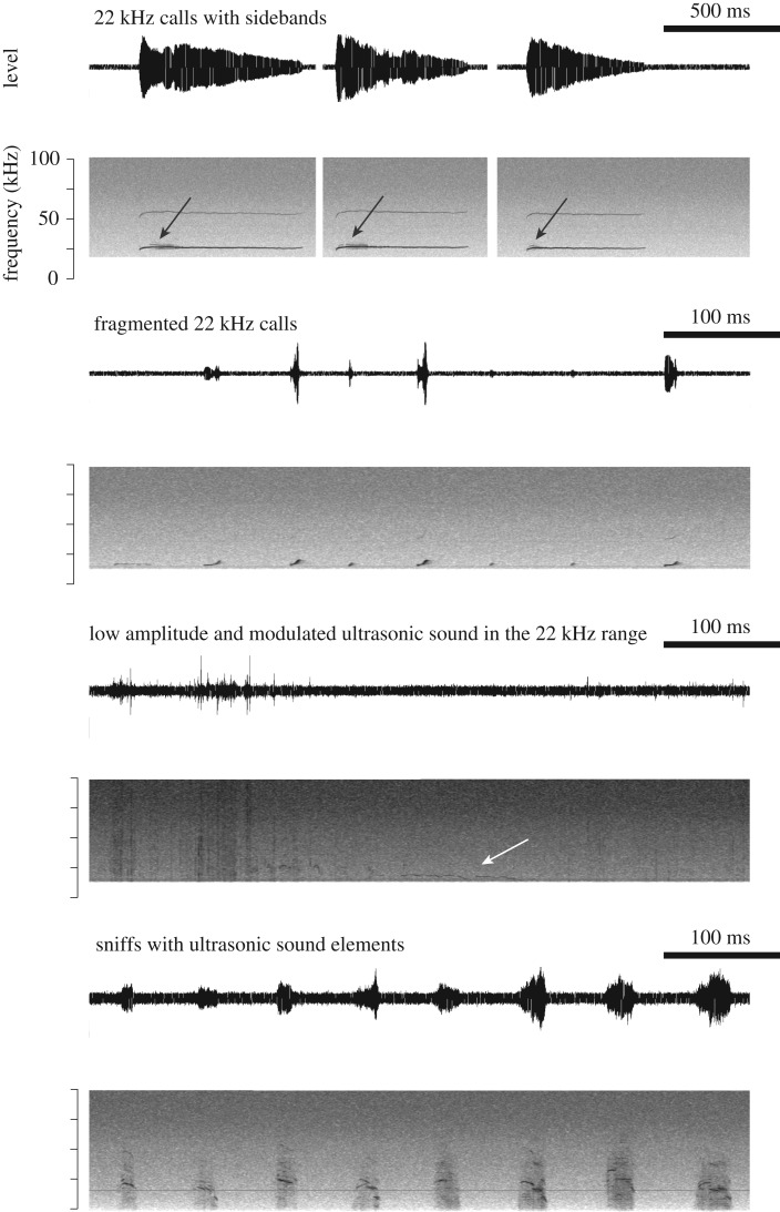 Figure 7.