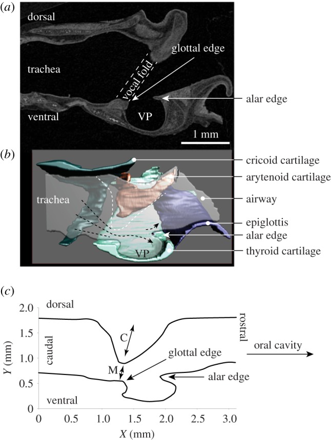 Figure 5.