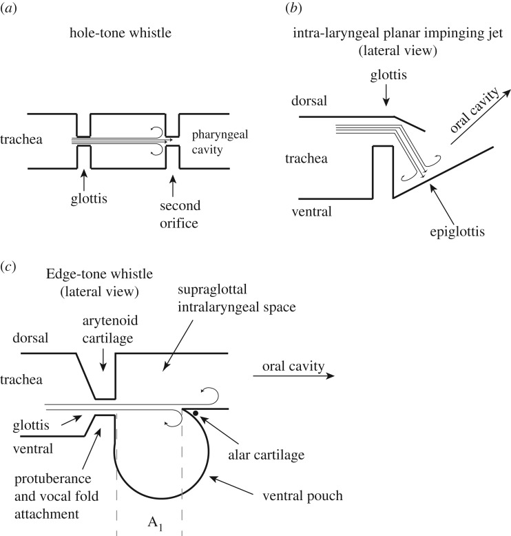 Figure 8.