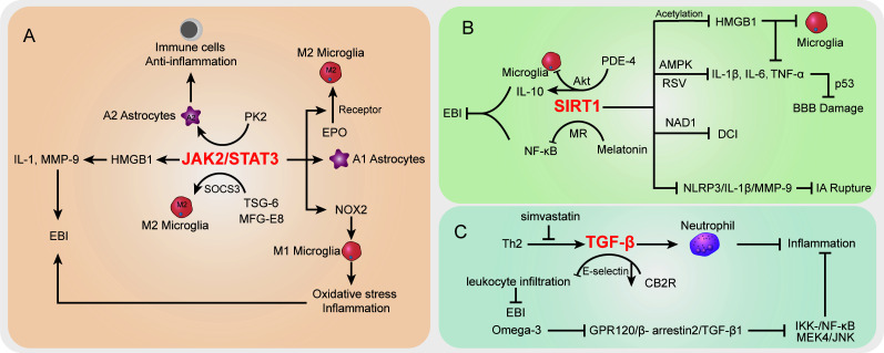 Figure 3