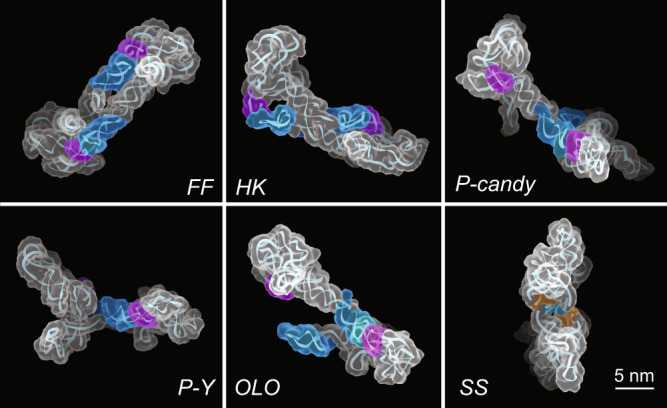 Fig. 3