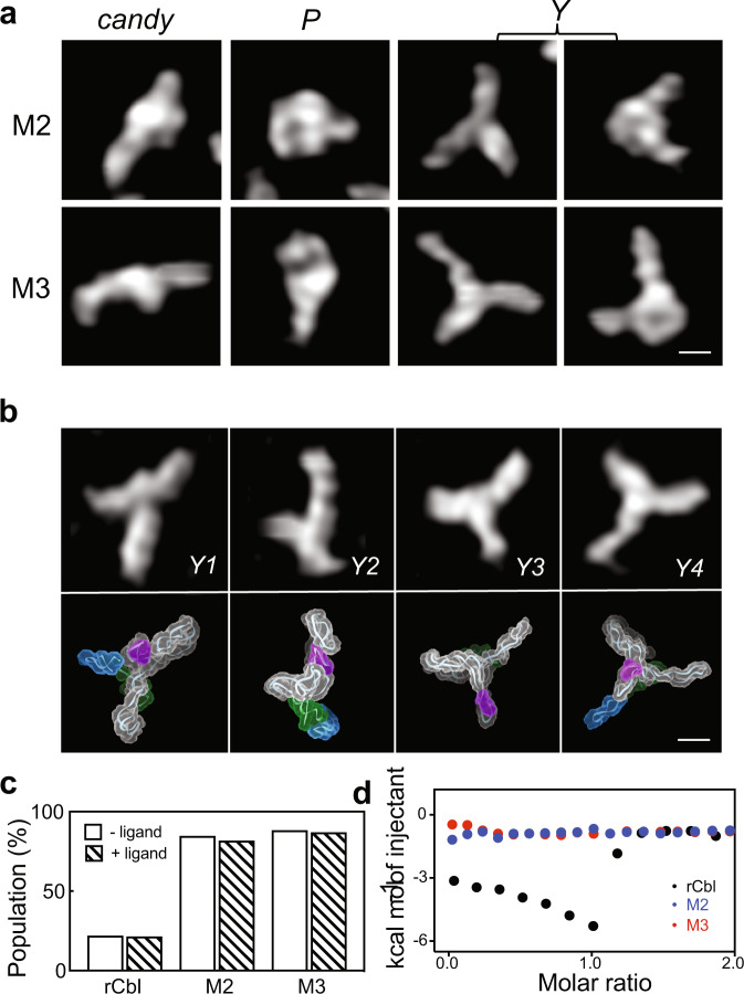 Fig. 4